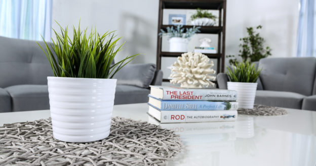 Designer’s Corner: A Touch of Greenery